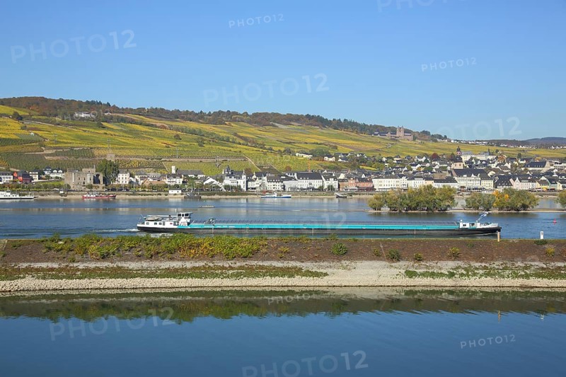 View of Ruedesheim on the Rhine with vineyards and UNESCO Abbey St. Hildegard in autumn from the harbour in Bingen