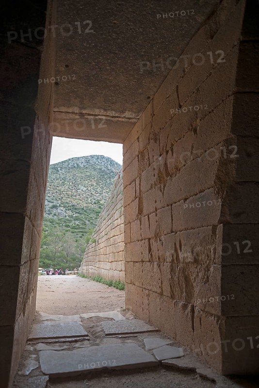 Treasury House paratrea