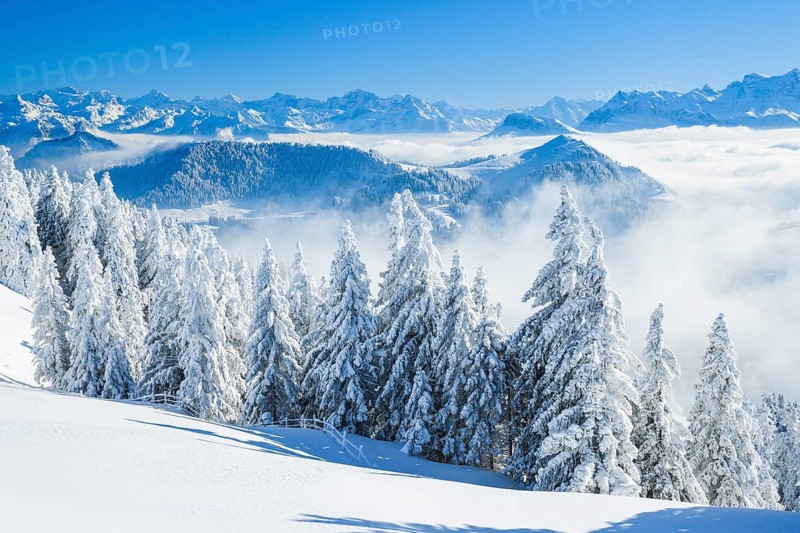 Aussicht von der Rigi