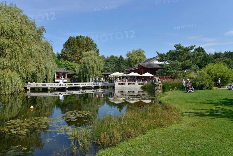 Chinese Garden