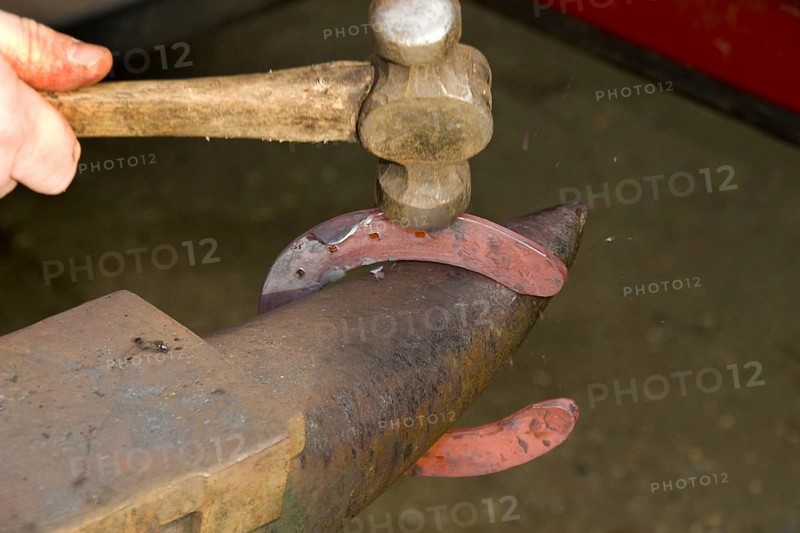 Red-hot horseshoe on anvil