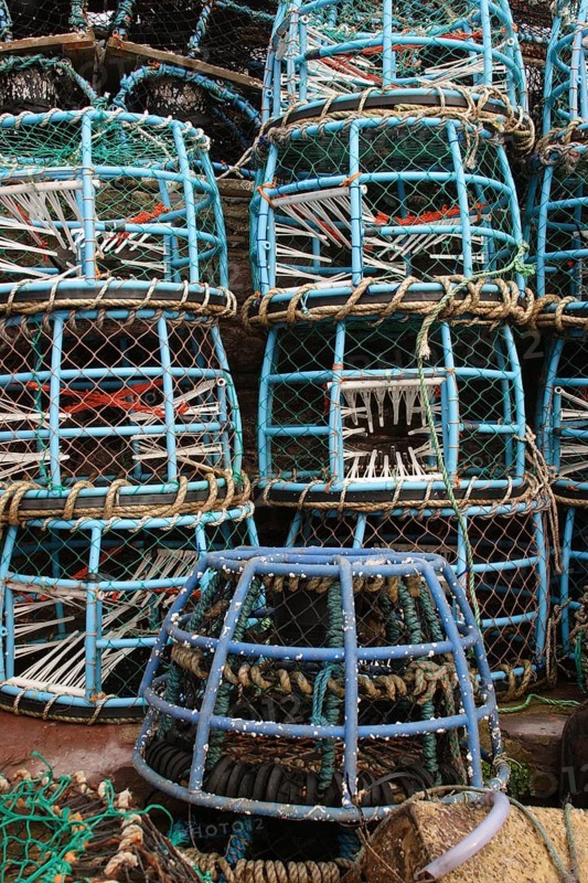 Squid plastic pots