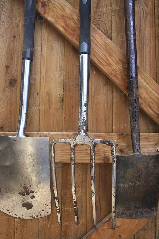 Spades and fork hanging up in garden shed