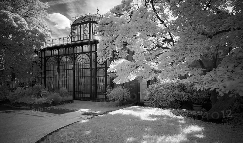 Greenhouse at the Moorish country house