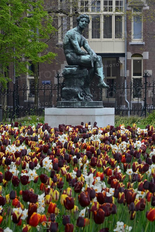 Sculpture Garden