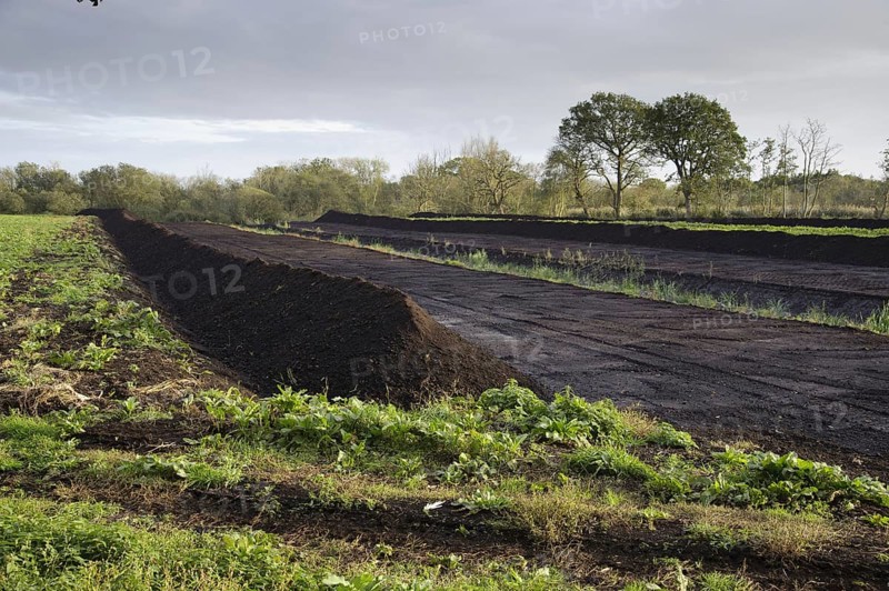 Peat extraction