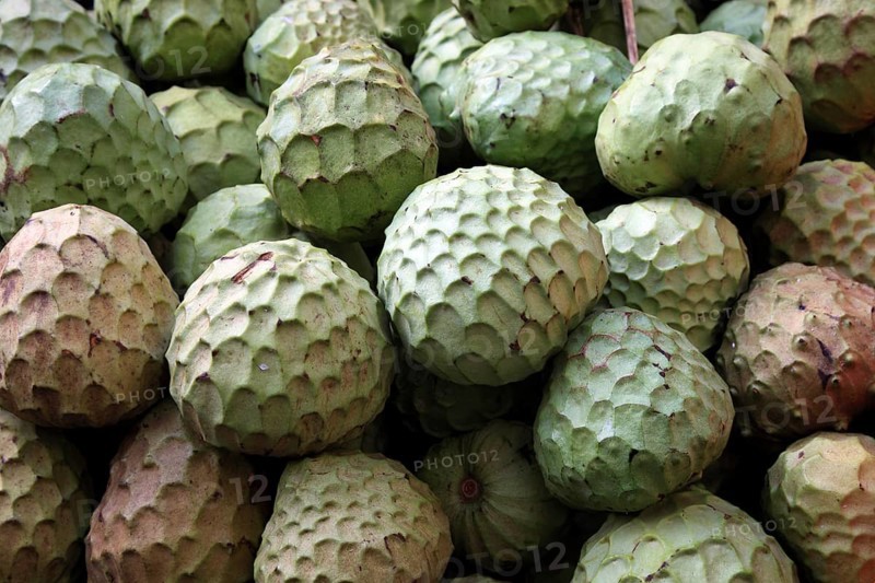Cherimoya