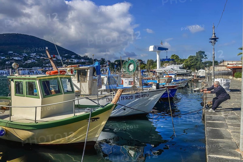 Fishing boats