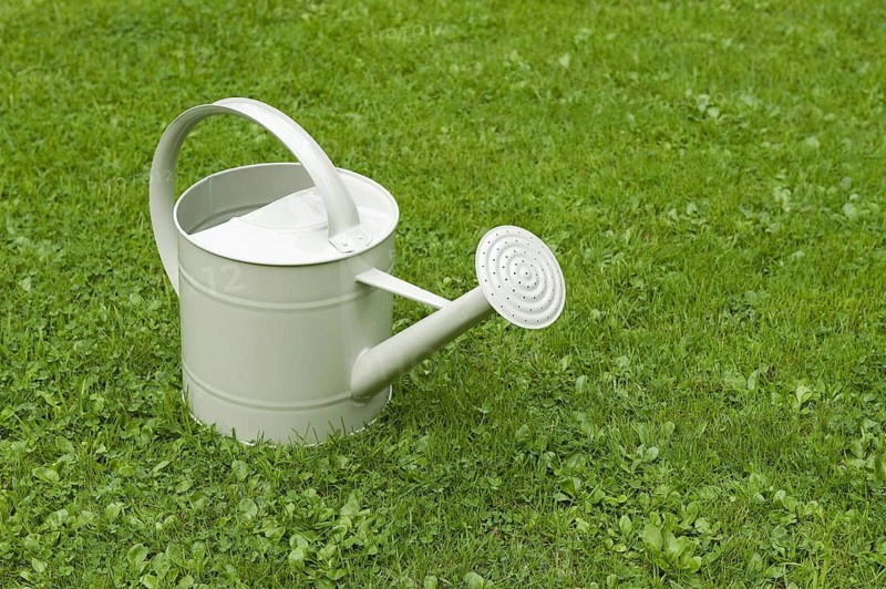 Painted metal watering can on garden lawn