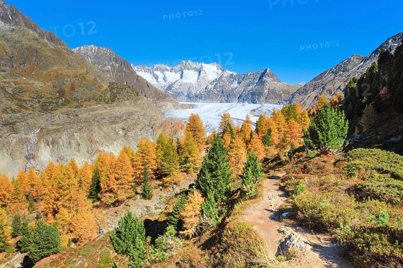 Grosser Aletschgletscher und Wannenhoerner