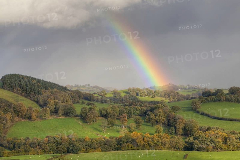 Rainbow and stormclouds over farmland with sheep in pasture