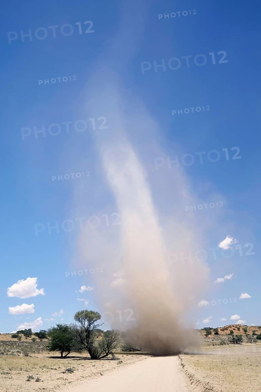 Dust devil cyclone crosses sand road in semi-desert