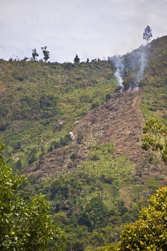 Forest fire in Madagascar