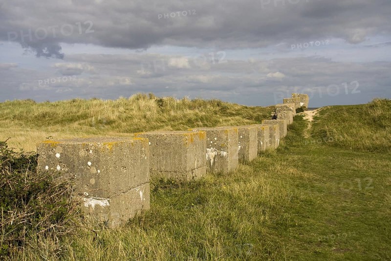 Suffolk coast at Minsmere