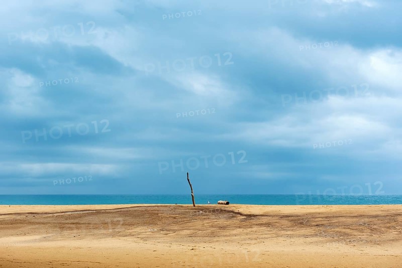 Wooden pole and driftwood on deserted beach