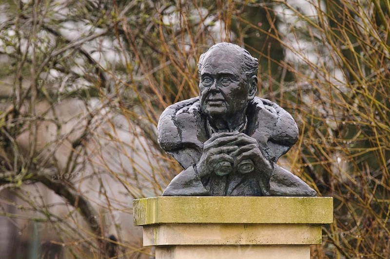 Bust of Sir Peter Scott wet from the rain