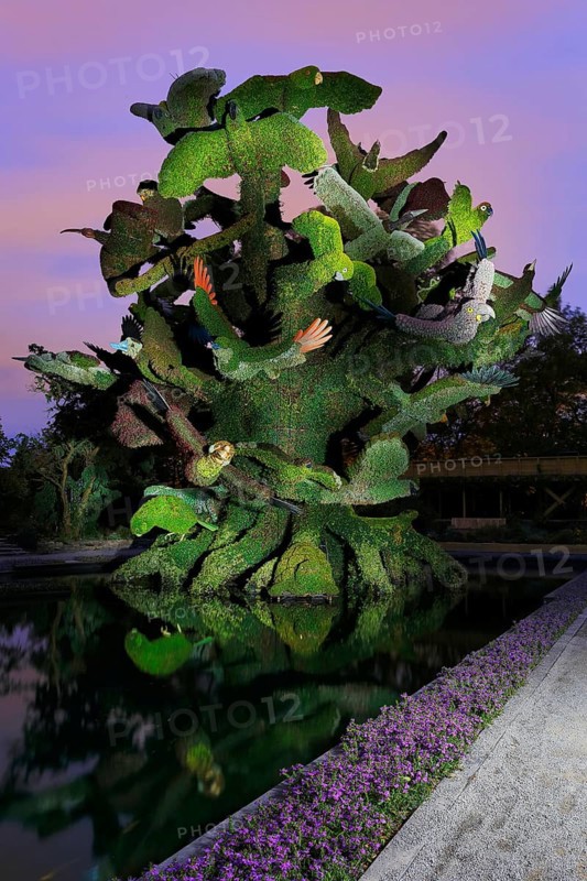 Light painting photography of a garden sculpture