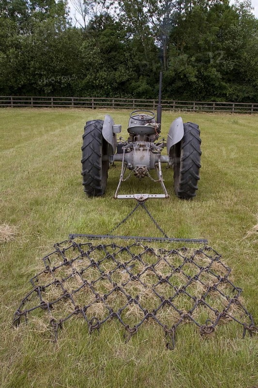 Old grey Fergie pull chain harrow