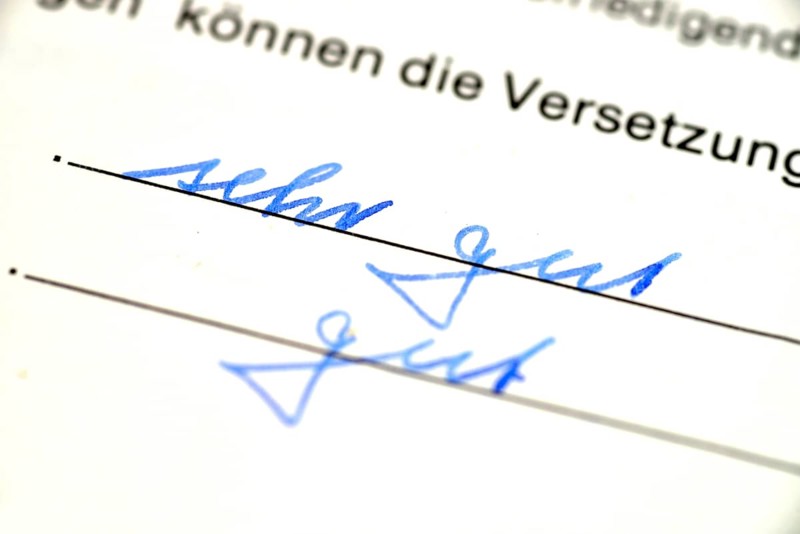 School report