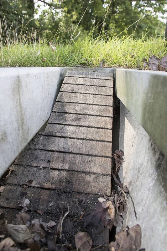 Hedgehogs and small mammal steps in the cattle grid