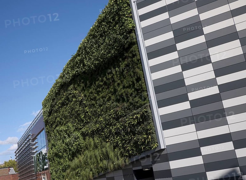 'Living Wall System'