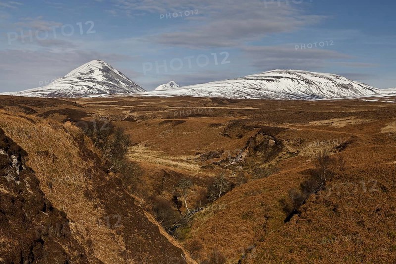 View of moorland habitat and snow covered mountain peaks