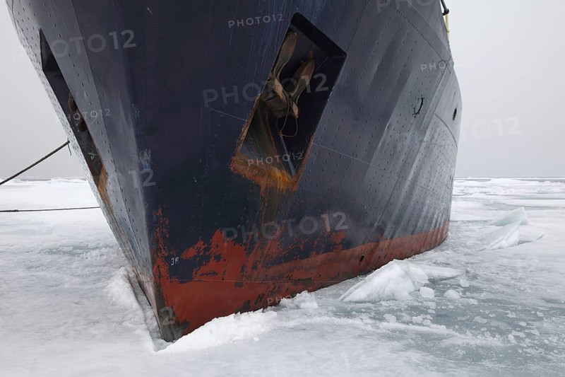 Icebreaker Origo moored in pack ice