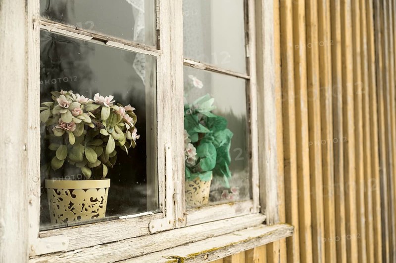 Altes Holzfenster von aussen mit Plastikblumen