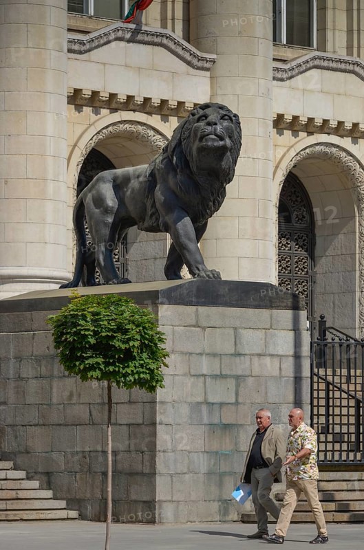 Lion sculpture