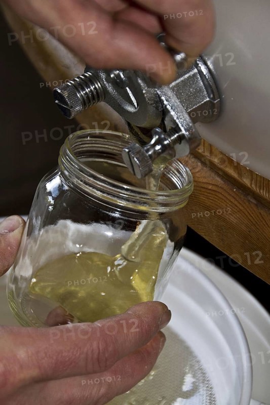 Filling a jar of honey from a storage drum. After the honey has been spun out of the comb and filtered into the storage drum