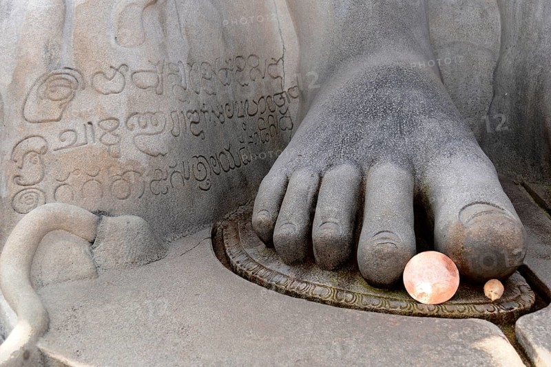 Feet