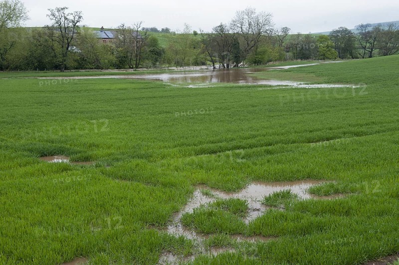 Irrigated grassland on farm after spring floods