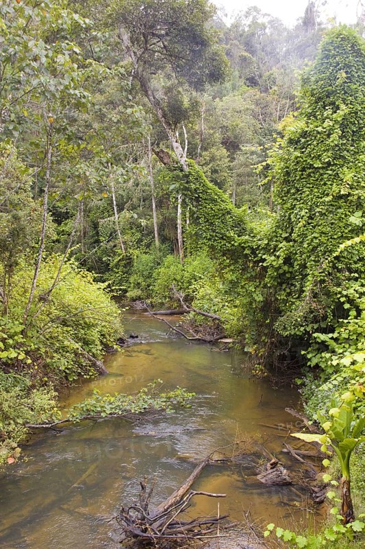 Electricity in the tropical rainforest near Andasibe