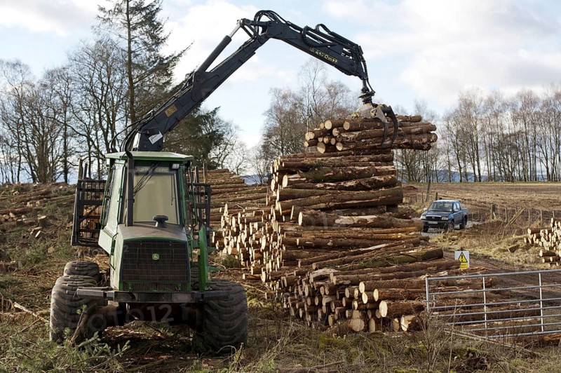 John Deere 1410D forwarder stacking felled timber from a pine plantation