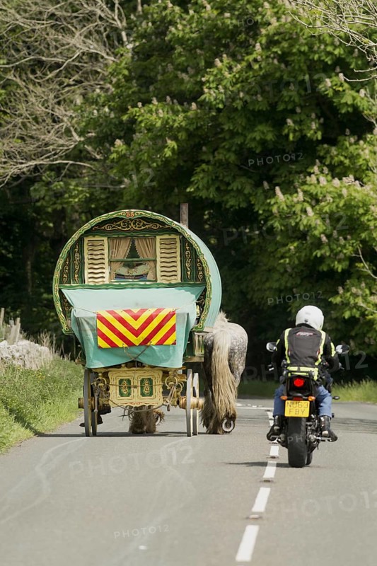 Motorcyclist overtakes horse-drawn touring caravan on country road