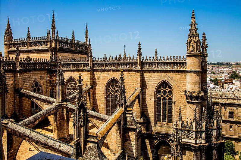 View of the Cathedral from the Giralda