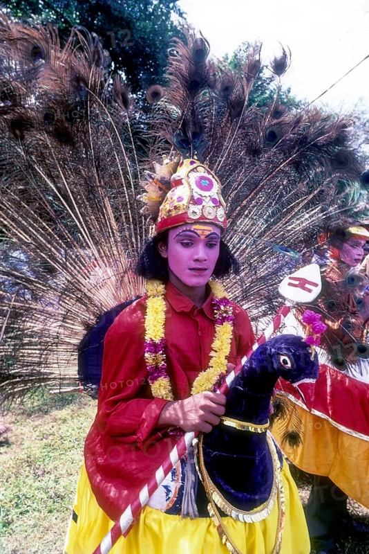 Mayilnirtham in Athachamayam celebration in Thripunithura during Onam near Ernakulam
