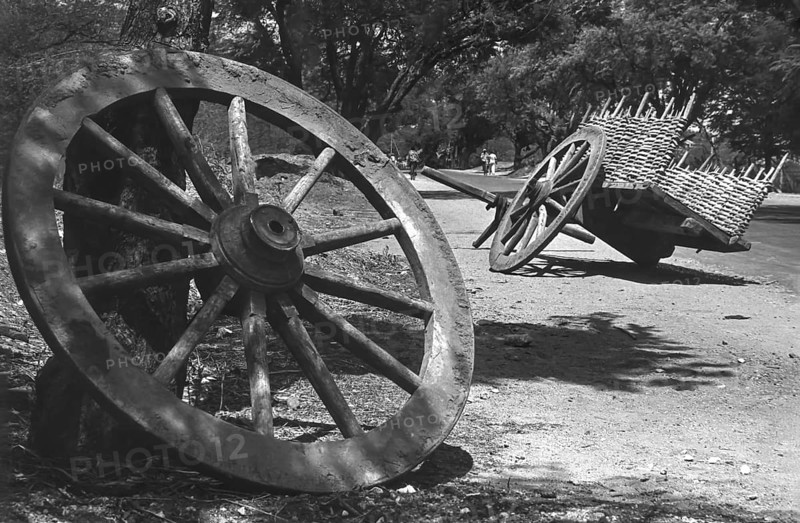 black and white photo