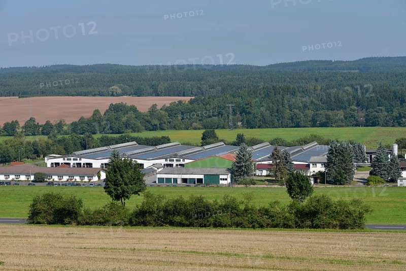 Stables