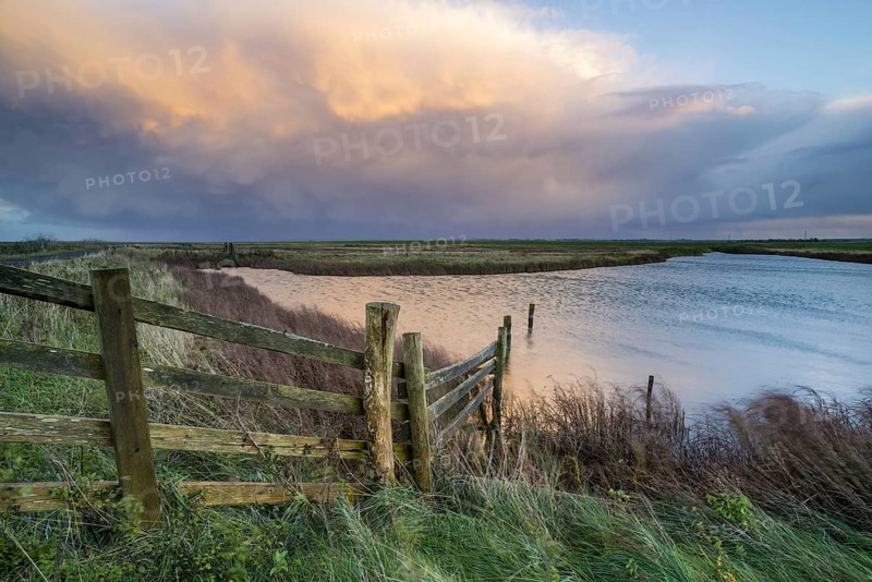 View of cattle fence and water-filled ditch on coastal grazing marsh habitat