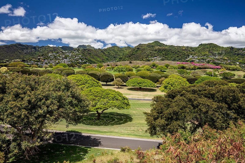 View over the park