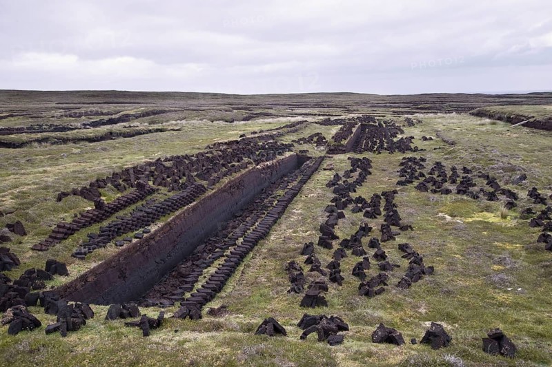 Peat cuttings