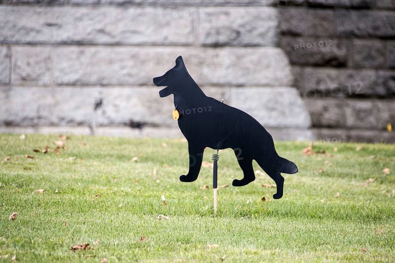 Whirling dog Scarecrow used to scare birds away from a grass lawn