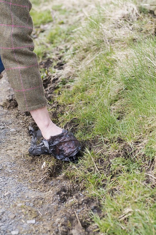 Owner picks up dog excrement with plastic bag
