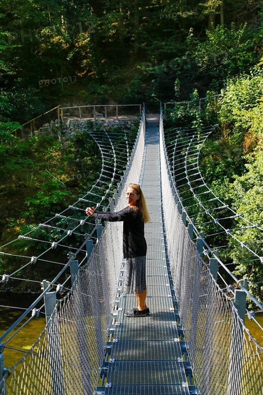 Haengebruecke im Fuerstlichen Park Inzigkofen