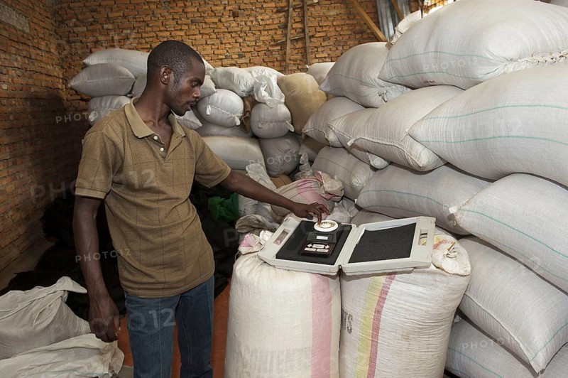 Coffee trader with a moisture tester to check the quality of his coffee. Rwanda