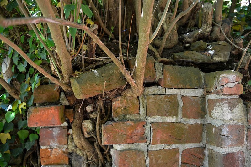 Roots Masonry