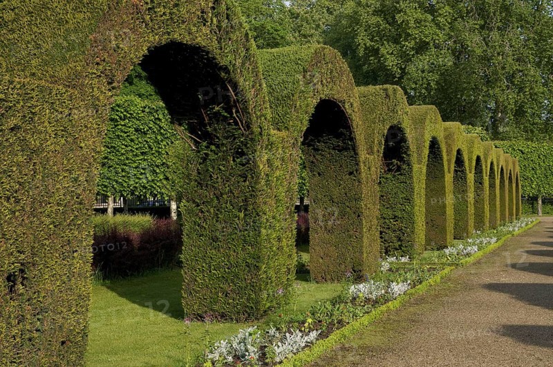 Topiary archways in public park garden