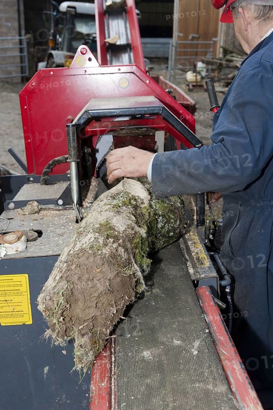 Forestry workers loading timber onto the logging and splitting bench