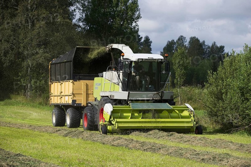 Claas Jaguar 850 self-propelled forage harvester